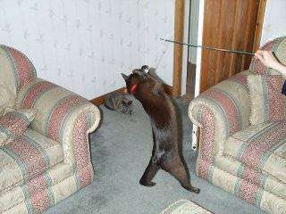 Dcp_2053.jpg (15890 bytes)