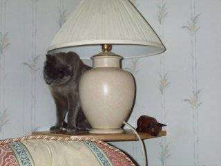 Dcp_2054.jpg (9859 bytes)