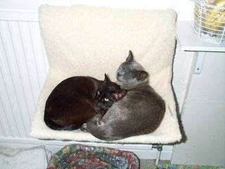 Dcp_2061.jpg (12208 bytes)