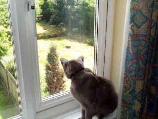 Dcp_2575.jpg (21622 bytes)