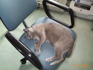 Dcp_3861.jpg (21538 bytes)