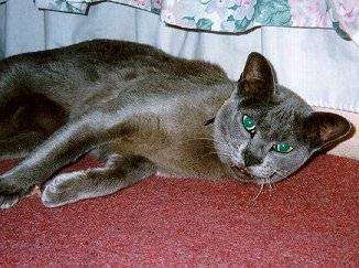 m-onfloor.jpg (29083 bytes)