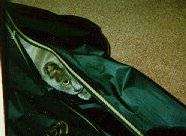 mufinbagsm.jpg (8424 bytes)