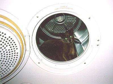 mufintumbledryer.jpg (27026 bytes)