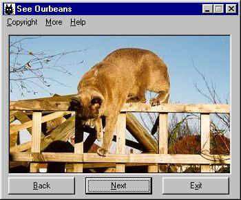 screenshot.jpg (37579 bytes)