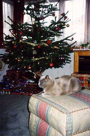 xmas9902.jpg (37125 bytes)