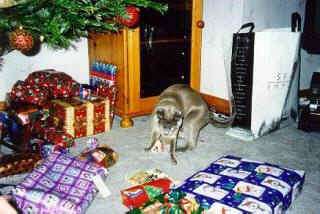 xmas9908.jpg (21187 bytes)